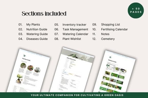 notion habit tracker
