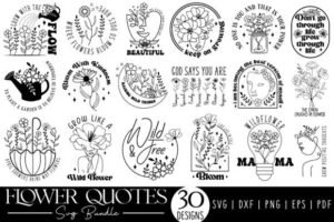 quotes cool