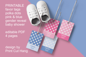 Baby Gift Tags