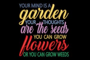 quotes about life