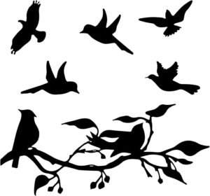 silhouette birds