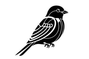 silhouette birds