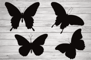 silhouette butterfly