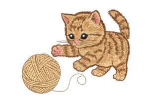 embroidery clothes
