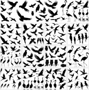 silhouette birds