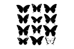 silhouette butterfly