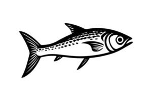 silhouette fish