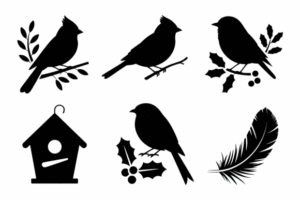 silhouette birds