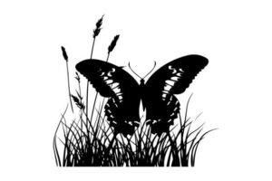 silhouette butterfly