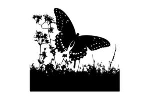 silhouette butterfly