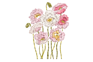 embroidery clothes