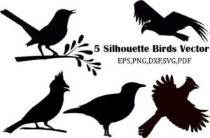 silhouette birds