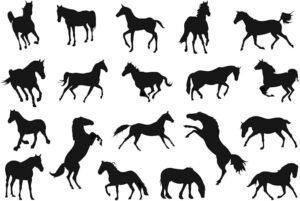 silhouette horse