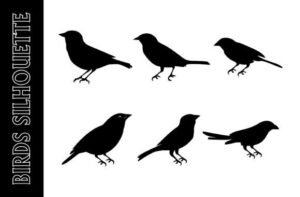 silhouette birds