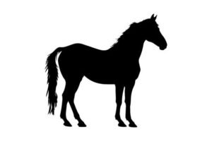 silhouette horse