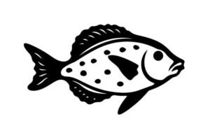 silhouette fish