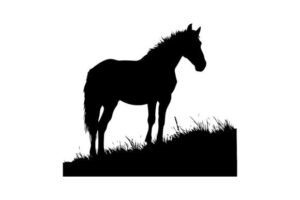 silhouette horse