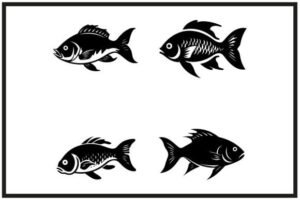 silhouette fish