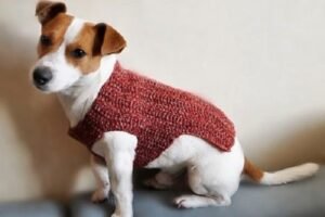 knitting patterns jumper