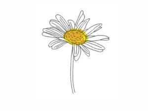 embroidery flowers