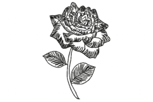 embroidery flowers