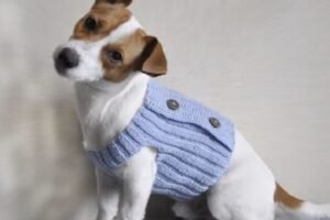 knitting patterns jumper