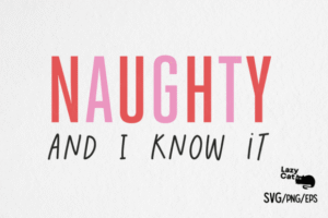 funny christmas quotes