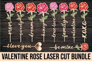 valentines day gifts