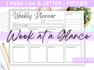 planner calendar