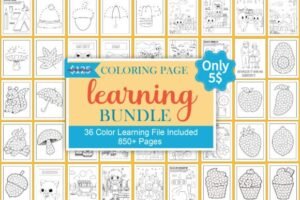 worksheets cut and paste